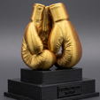 Captura-de-pantalla-2026-06-20-115547.png Trofeo Guantes Box