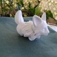 20220322_134519.jpg Corgifox Figurine