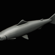 Salmon-statue-box-1-43.png fish sculpture of a Atlantic salmon / salmo salar with storage space / for 3d printing