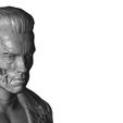 33.jpg 3D PRINTABLE COLLECTION BUSTS 9 CHARACTERS 12 MODELS