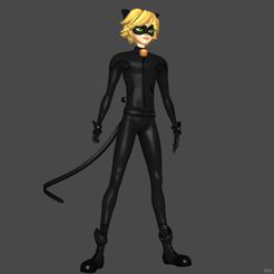 prev.jpg Cat nior