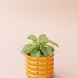 POT-DENTAL-BURS-2.png Porte-fraises rotatif