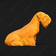 3390-Cesky_Terrier_Pose_04.jpg Cesky Terrier Dog 3D Print Model Pose 04