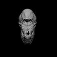 2a.jpg Calf Skull with Cyclopia