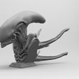 MK1-BUST.68.40.jpg Scout Alien Xenomorph Bust 3D Printing model