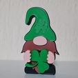 20230224_134128.jpg ST. PATRICK'S DAY GNOME COMBO PACK