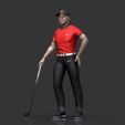 Preview_8.jpg Tiger Wood 2