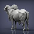 Gyr-Bull6.jpg Gyr Bull 3D print model