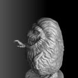 22222.jpg Critters.2 options.STL.3d printable.