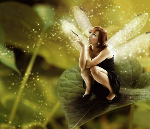 Fairy-Tinkerer.jpg Fairy Tinkerer