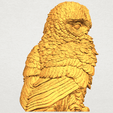 A10.png Owl 04