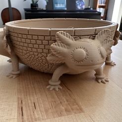 IMG_9234.jpg Free STL file Axolotl Planter・3D printer design to download