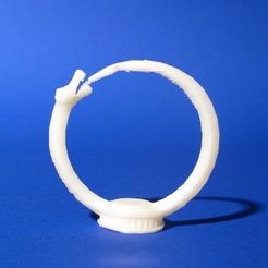 zheng3_ouroboros_display_large_preview_featured.jpg Free 3D file Seej Guardian, Ouroboros・3D print model to download