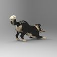 coli3.jpg Border Collie Playing Dog 1/32 Scale – Stick in Mouth Herding Dog Figure for Dioramas