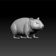 haams1.jpg Hamster - hamster 3d model for 3d print