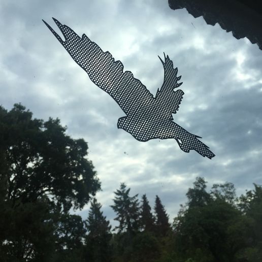 2022-05-31_07.59.50.jpg Window Decal Birds Collection