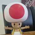 Toad from Mario games - Multi-color