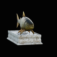 golden-dorado-statue-box-1-6.png fish golden dorado / Salminus brasiliensis with storage space / for 3d printing