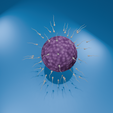 0006.png Human Fertilization: Sperm & Ovum 🧬 Dynamic 3D Model