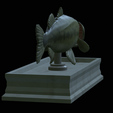 Bass-mount-statue-13.png fish Largemouth Bass / Micropterus salmoides open mouth statue detailed texture for 3d printing