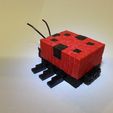 20201119_183347.jpg Minecraft Ladybird Ladybug