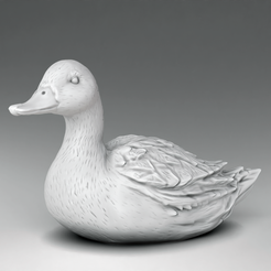 111.png Duck