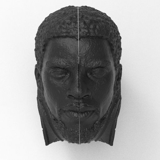 untitled_XR.134.jpg Archivo STL Pantera Negra - T'Challa - Chadwick Boseman (Cambio de cara)・Modelo imprimible en 3D para descargar, RodrigoSC