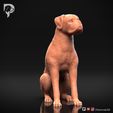 Boxer-Pose-05-Dog-3D-Print-1s.jpeg Chien Boxer Modèle imprimé en 3D Pose 05