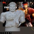 IMG_1363.jpg Street Fighter - Ryu | STL File | Digital Download, Videogame, Collectible