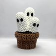 KGP-1.jpeg Knitted Ghost Plant