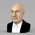professor-x-charles-xavier-bust-ready-for-full-color-3d-printing-3d-model-obj-mtl-fbx-stl-wrl-wrz-1.jpg Professor X Charles Xavier from X-Men bust full color 3D printing