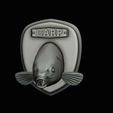 common-carp-18.png head trophy COMMON CARP (CYPRINUS CARPIO)open mouth statue 2 detailed texture for 3d printing