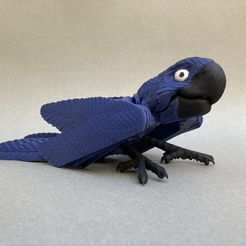 IMG_3650.jpg 3D file Parrot chopper・3D printer design to download