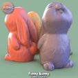 Photostramien3.jpg Funny Bunny