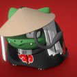 Balbasaur-Akatsuki-7.jpg Bulbasaur