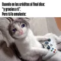 ningun-morelia2