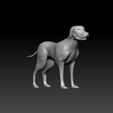 dog_770_1.jpg Dog - amazing dog - dog for game - dog for 3d print - big dog