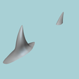rd-2.png Shark Fin and Tail - Creative Decoration - STL Printable