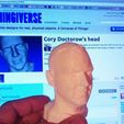 Cory_Doctorow_-_3D_printed_head.jpg Cory Doctorow's decimated head for 3D printing