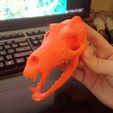 Wolf_1.jpg Boneheads: Crâne de loup et mâchoire - PROMO - 3DKITBASH.COM