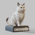 Meowy_Chainsaw-man.2096.jpg Meowy (ニャーコ, Nyāko)- cat - Chainsaw Man - feline-sitting pose-FANART FIGURINE