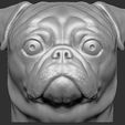 2.jpg Pug head for 3D printing