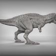 2134d8b63a397cc09404b8ceb46345bd_display_large.jpg Ceratosaurus dinosaurus