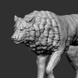 8.jpg Archivo STL Lobo・Diseño de impresora 3D para descargar