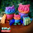 Flexi-Factory-Owl_07.jpg Flexi Factory Owl