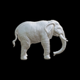 Capture-d’écran-2023-07-06-à-10.41.46.png elephant