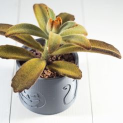 pinshape_PlantwHalloween.jpg STL-Datei 2019 Halloween Succulent Planter kostenlos・Vorlage für 3D-Drucker zum herunterladen