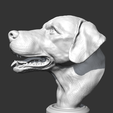 06.png Labrador Retrieve Head AM26 3D print model