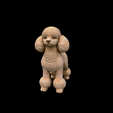 model-1.png Hund Pudel Skulptur Modell