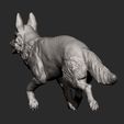 german-shepherd11.jpg 3D-Datei Deutscher Schäferhund 3D-Druck Modell・Design zum Herunterladen und 3D-Drucken